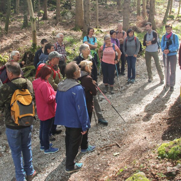 Kirche Nidwalden Projekt Besinnungsweg Bruder Klaus 03