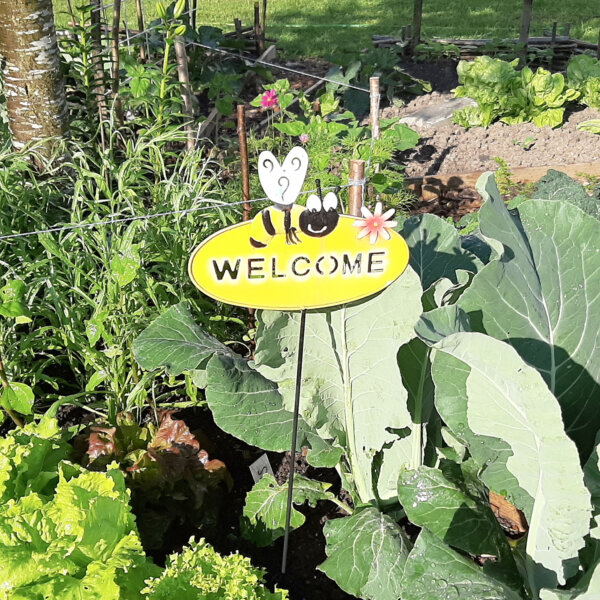 Kirche Nidwalden Projekt Gemeinschaftsgarten 03