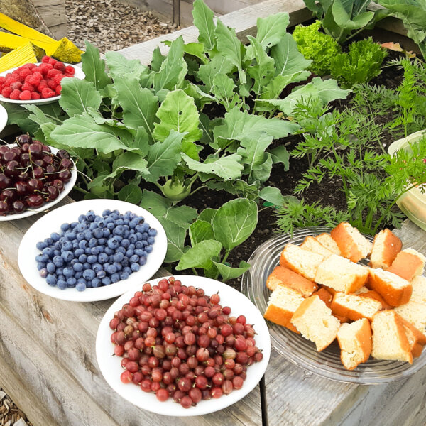 Kirche Nidwalden Projekt Gemeinschaftsgarten 04