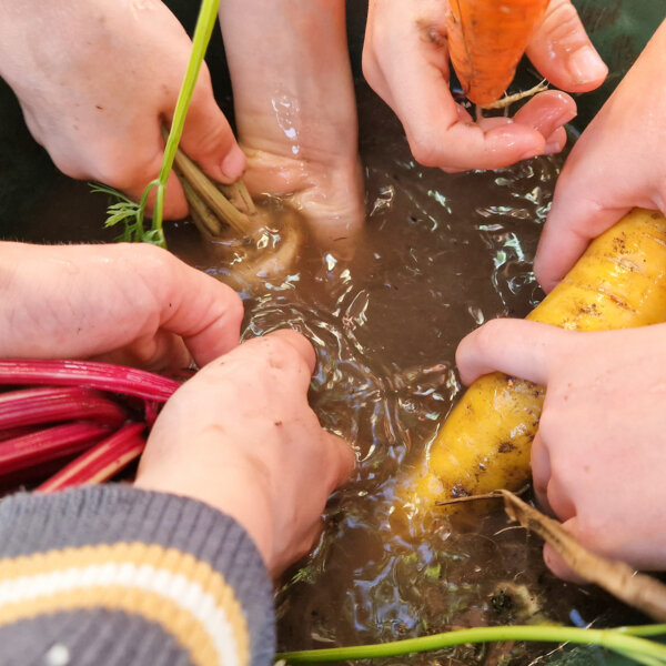 Kirche Nidwalden Projekt Gemeinschaftsgarten 05