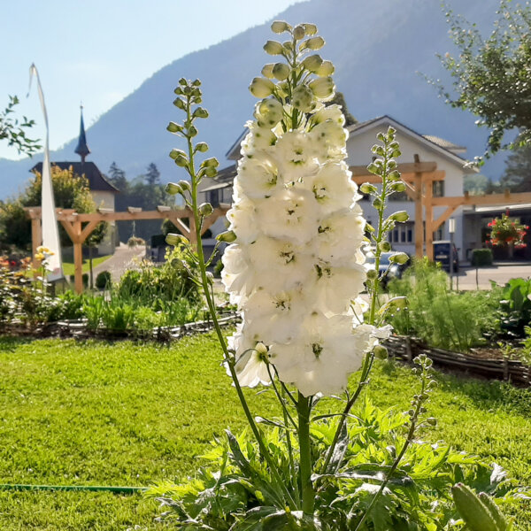 Kirche Nidwalden Projekt Gemeinschaftsgarten 06